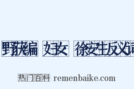 野获编·妇女·徐安生反义词是什么意思的图片